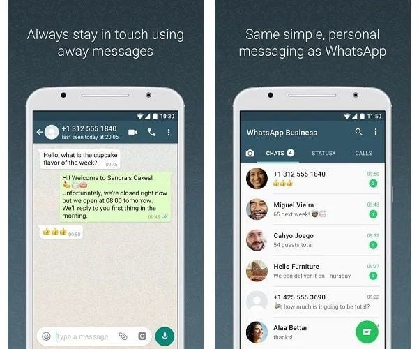 Screenshot Whatsapp Message: Does It Notify the Sender?
